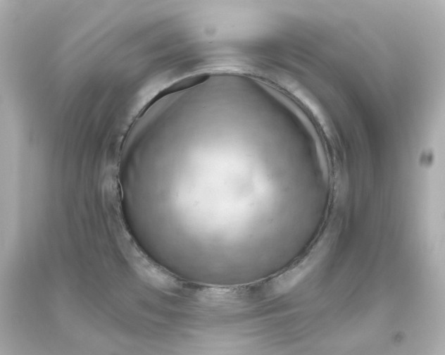 X0000093561481200711051027