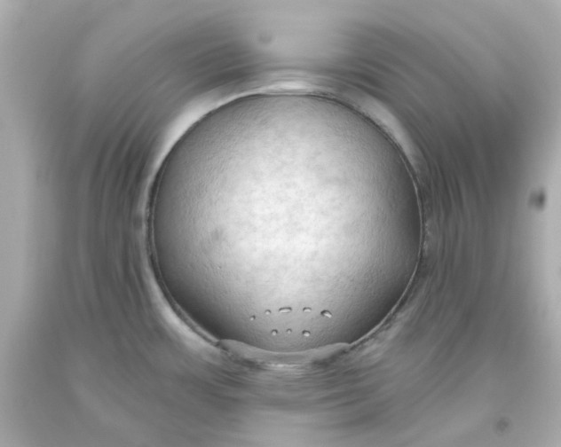 X0000093561483200711051027