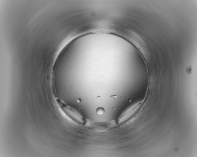 X0000093561484200711051027