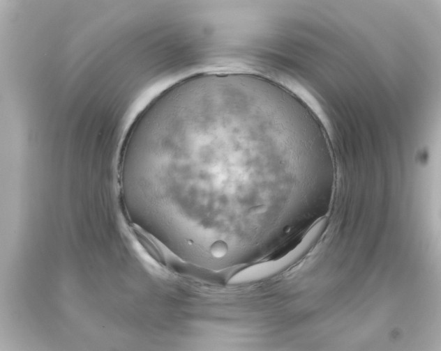 X0000093561485200711051027