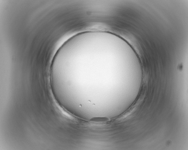 X0000093561486200711051027