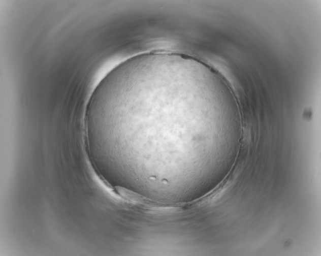 X0000093561487200711051027