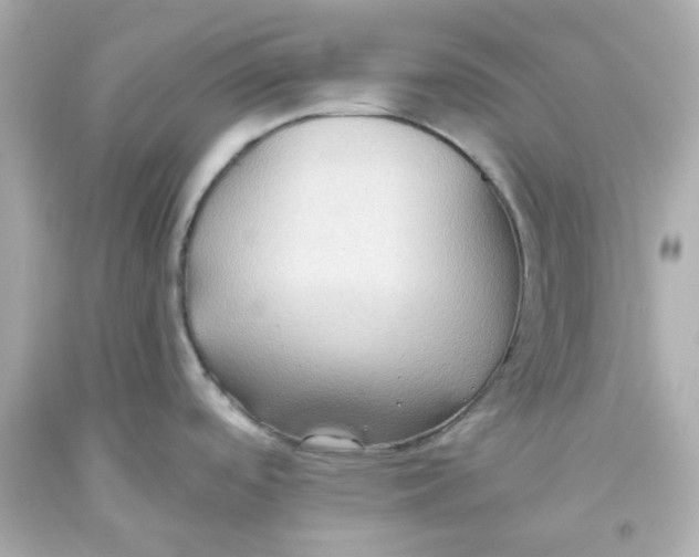 X0000093561488200711051027