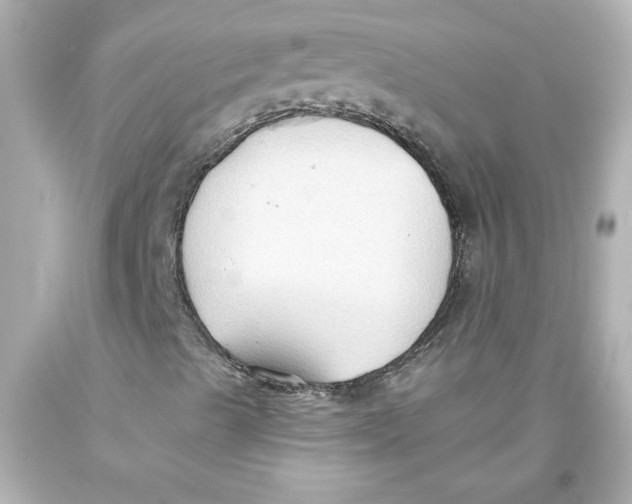 X0000093561489200711051026