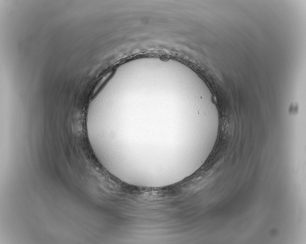 X0000093561490200711051026