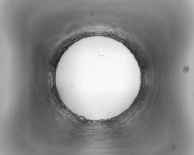 X0000093561493200711051027