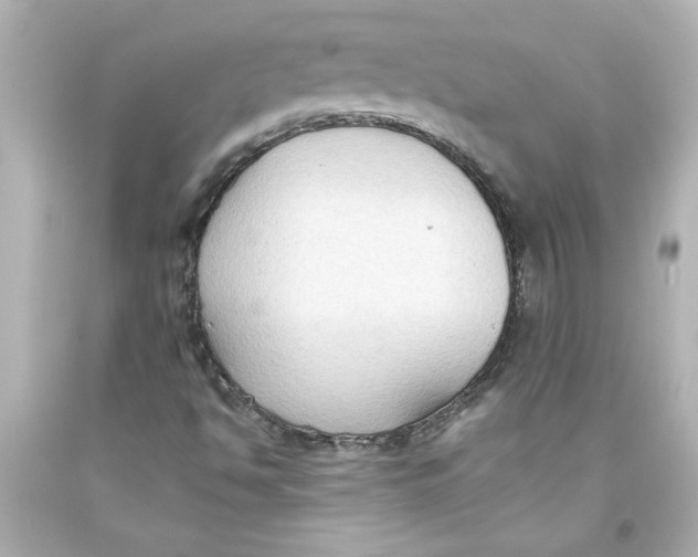 X0000093561494200711051027