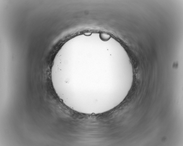 X0000093561495200711051027