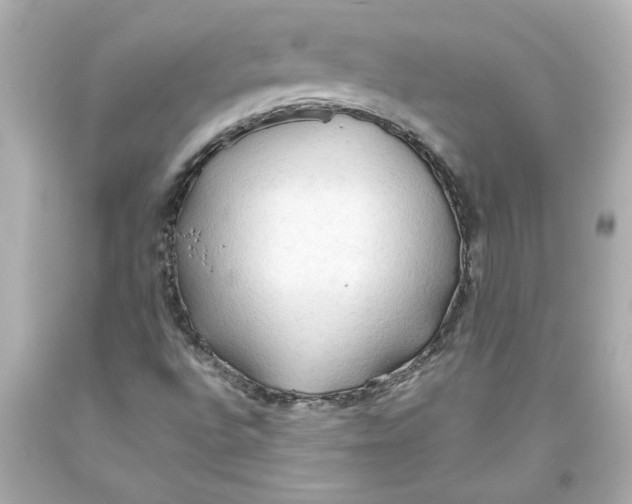 X0000093561496200711051027