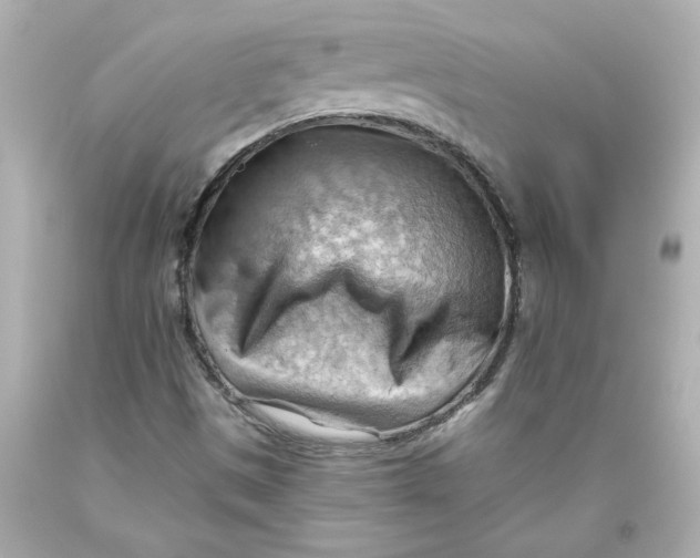 X0000093561497200711051027