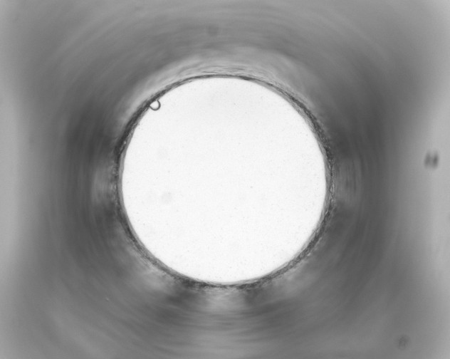 X0000093561498200711051027