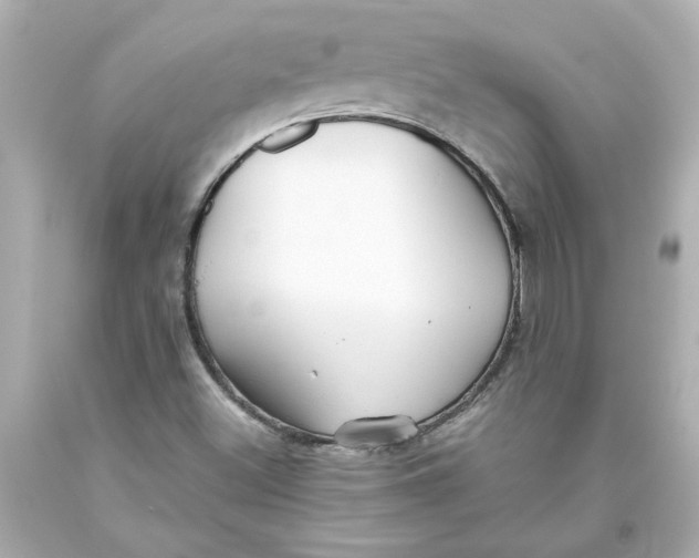 X0000093561500200711051027