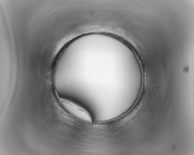 X0000093561501200711051027