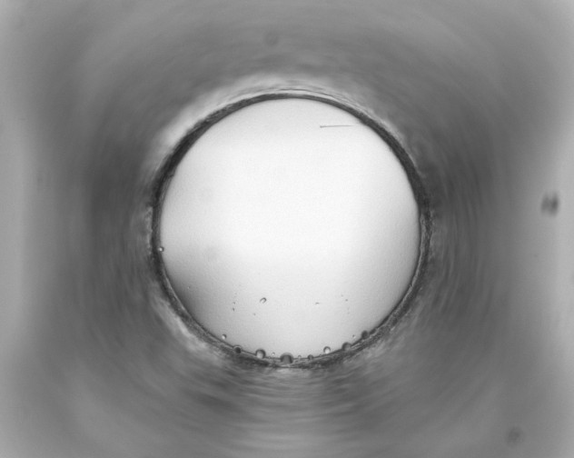 X0000093561503200711051027