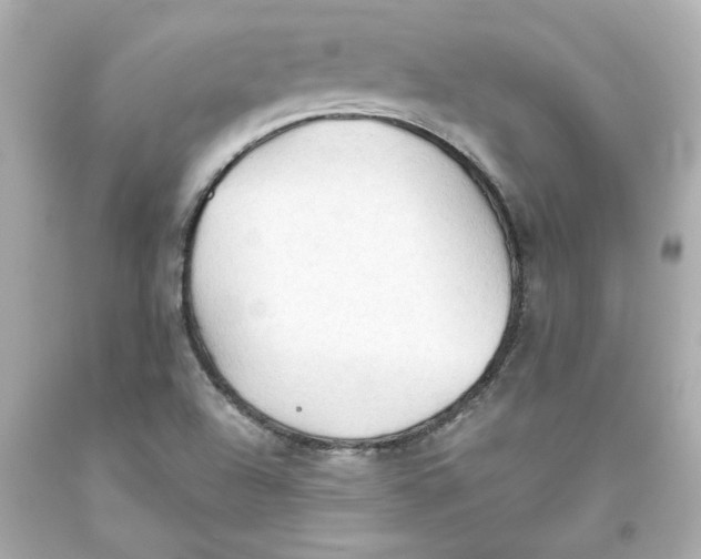 X0000093561504200711051027