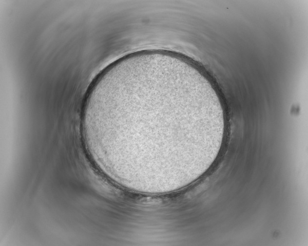 X0000093561505200711051027