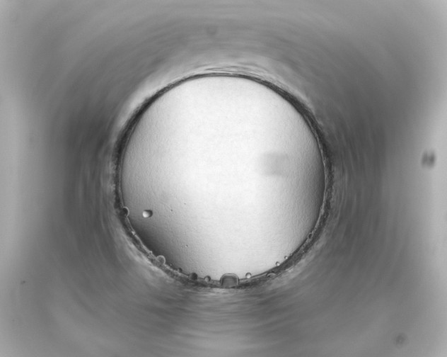 X0000093561506200711051027