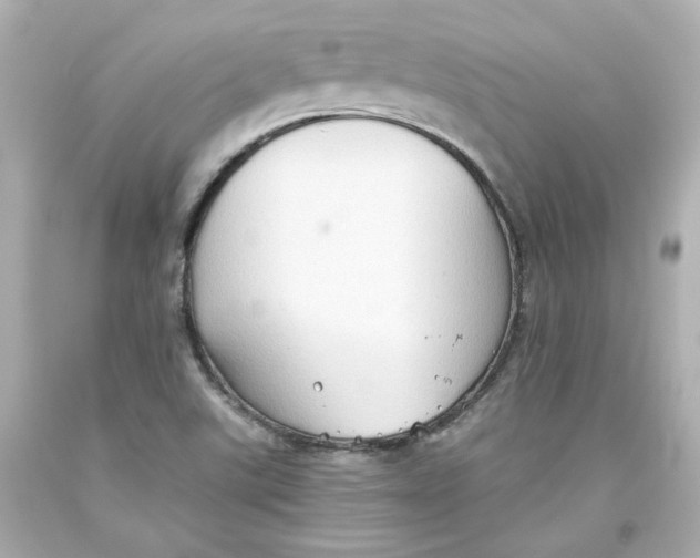 X0000093561507200711051027