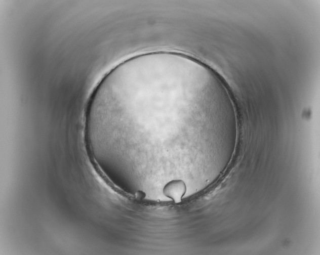 X0000093561508200711051027