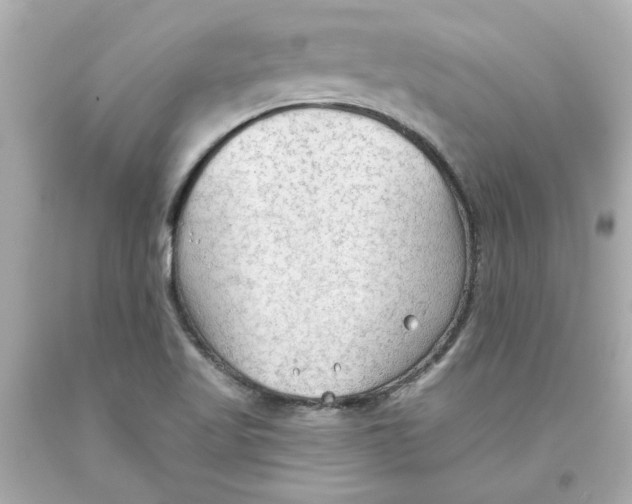 X0000093561509200711051027