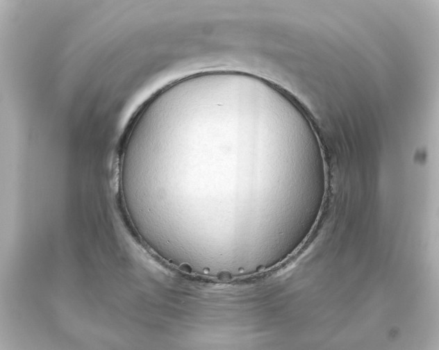 X0000093561510200711051027