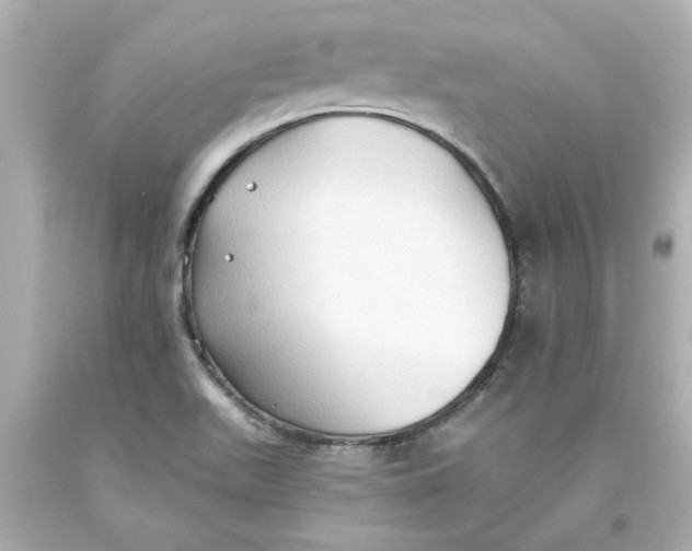 X0000093561511200711051027