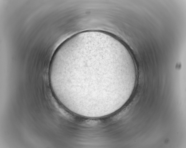 X0000093561513200711051027