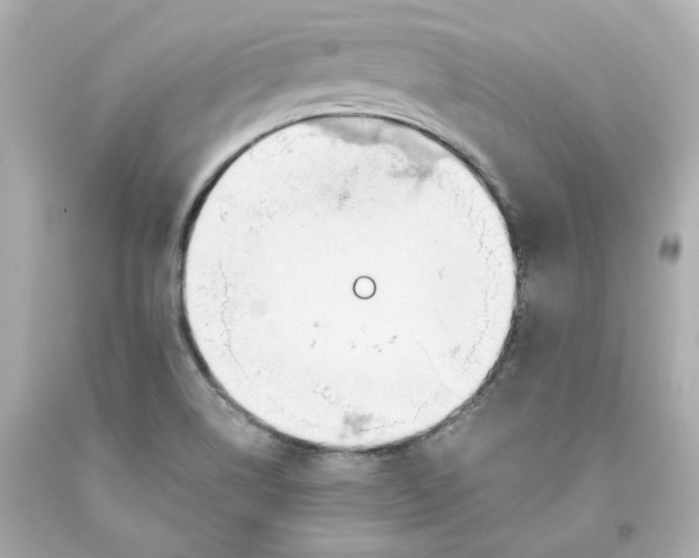 X0000093561514200711051027