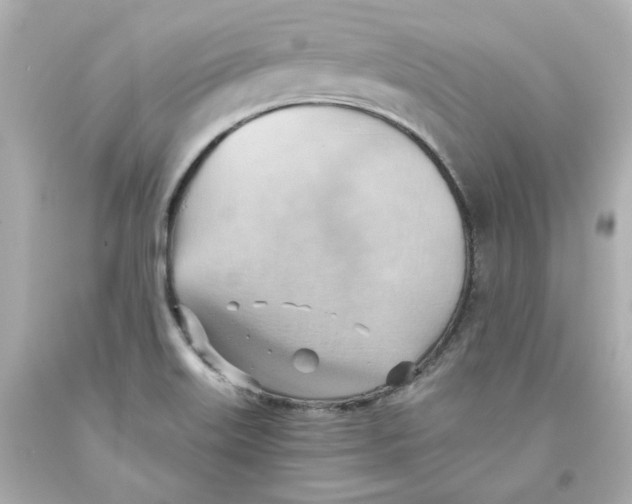 X0000093561515200711051027