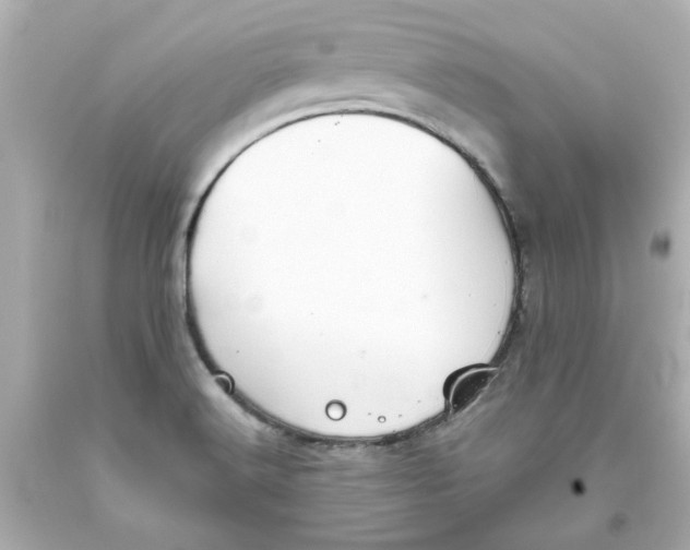 X0000093561516200711051027