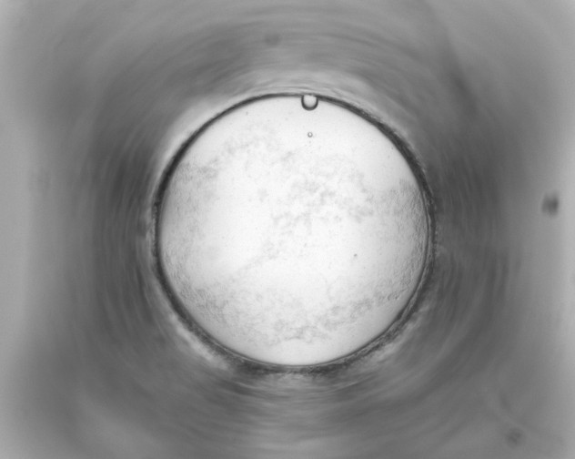 X0000093561517200711051027