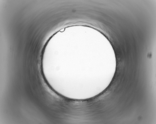 X0000093561518200711051027