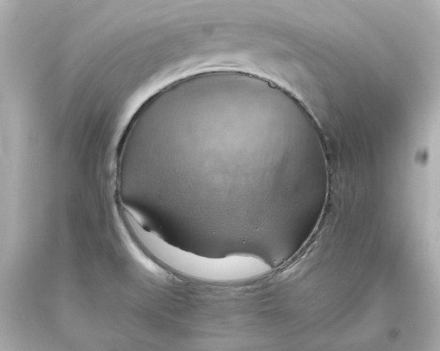 X0000093561519200711051027