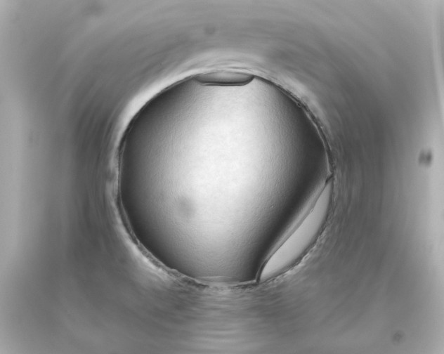 X0000093561520200711051027