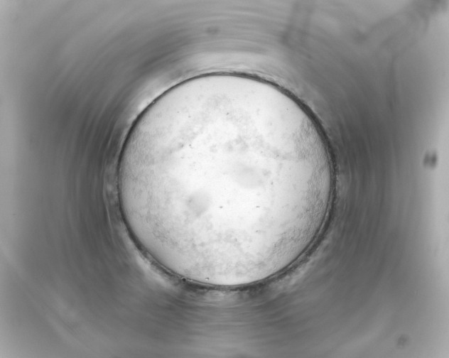 X0000093561521200711051027