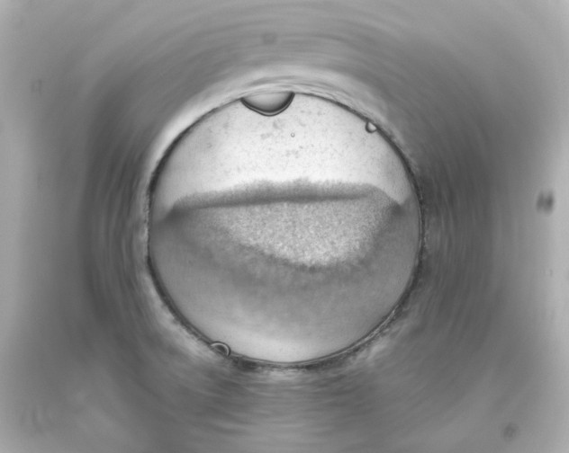 X0000093561522200711051027