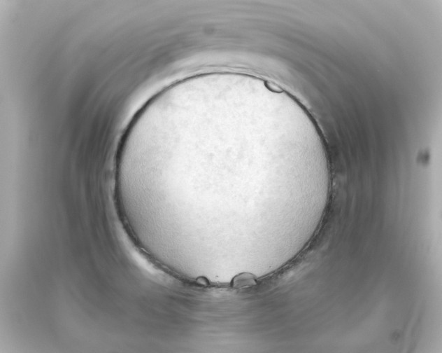 X0000093561523200711051027