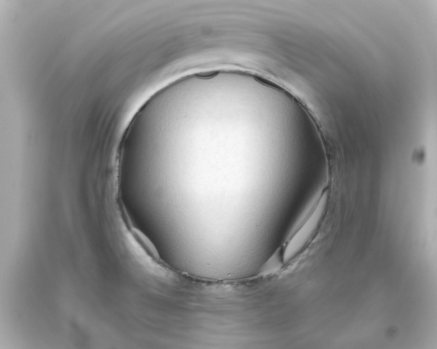 X0000093561524200711051027