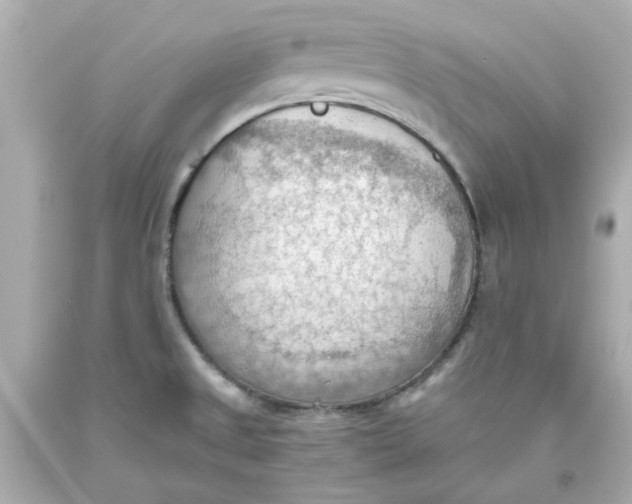 X0000093561525200711051027