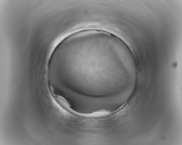 X0000093561527200711051027