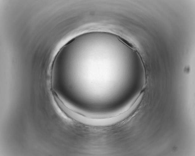 X0000093561528200711051027