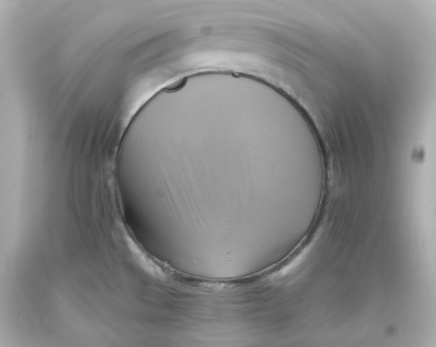 X0000093561529200711051027