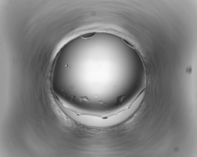 X0000093561530200711051027