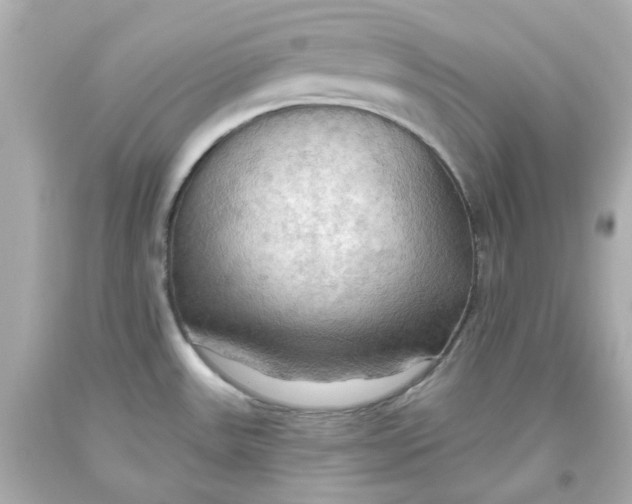 X0000093561531200711051027