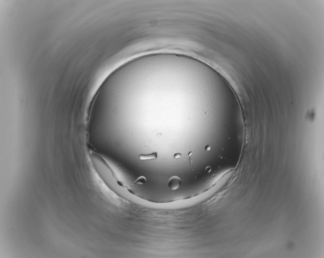 X0000093561532200711051027