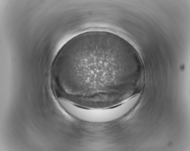 X0000093561533200711051027