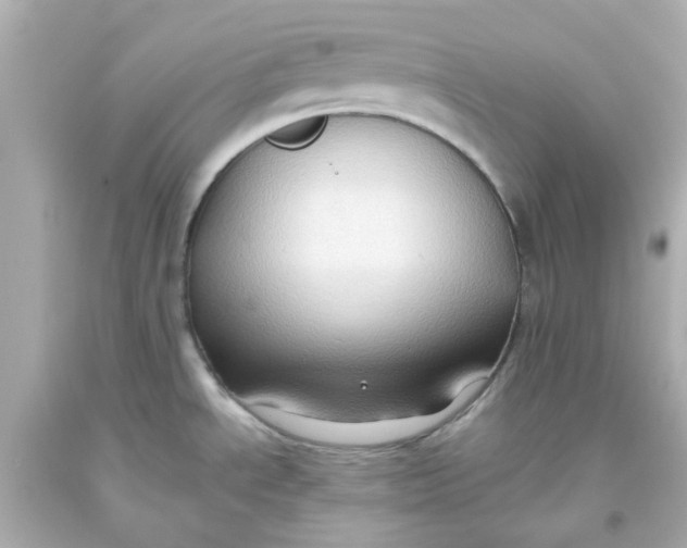 X0000093561534200711051027