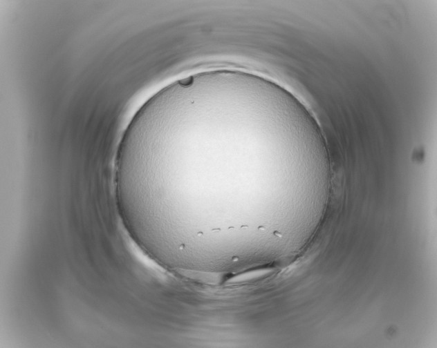 X0000093561535200711051027