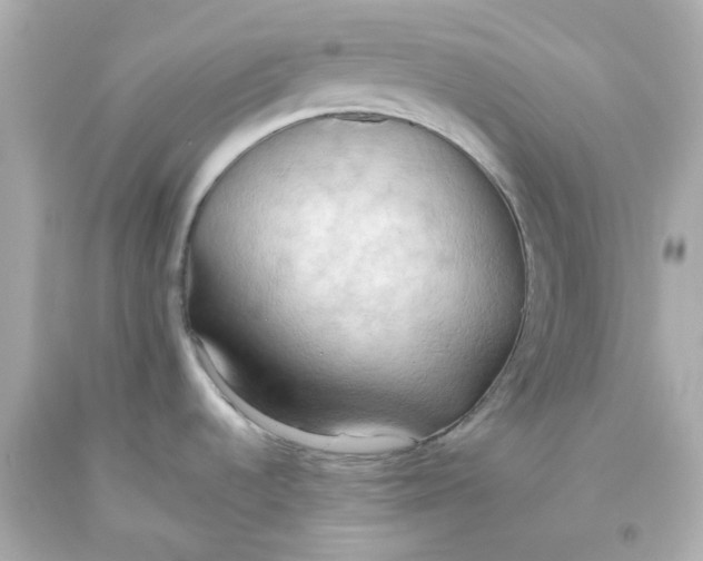 X0000093561536200711051027