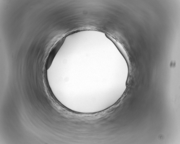 X0000093560001200711121025